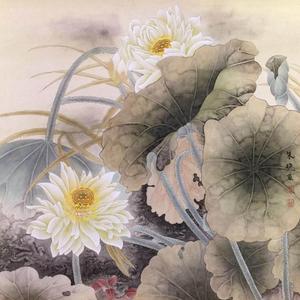 花卉一