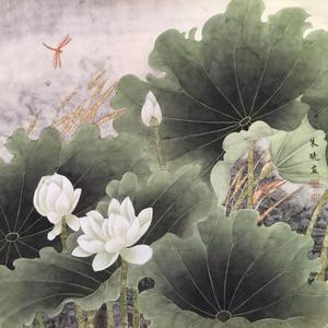 花卉二