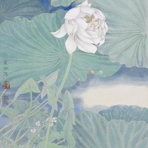 波初起 莲将开
