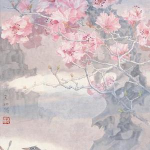 袁琳◎花到真时欲云去