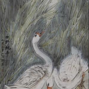 田野趣事