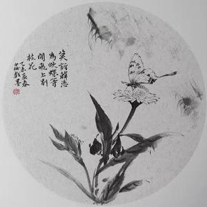 蝶恋花
