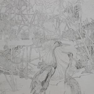 2014线描 秋日絮语-2014全国第四届线描艺术大展