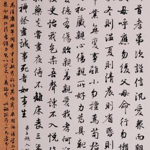行书中堂-弟子规