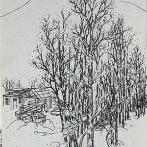 写生系列
