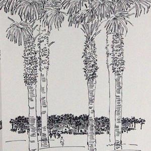 写生系列