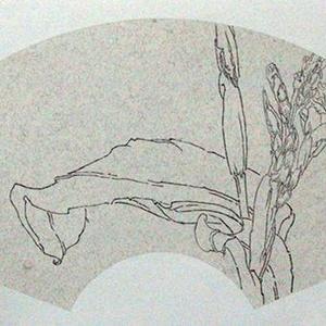 写生系列
