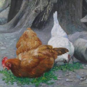房后一角