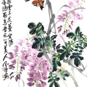 紫藤挂云木