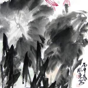 荷花