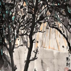 山水日记之树影