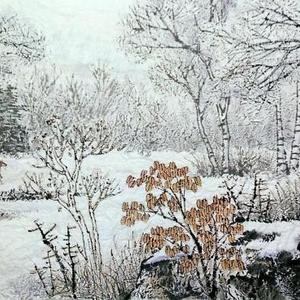 桦林瑞雪