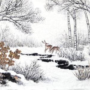 桦林瑞雪