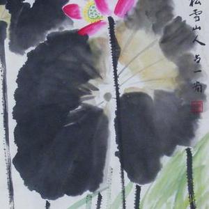 荷花