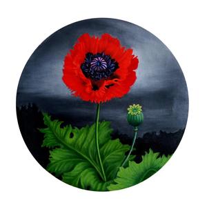 唐莉莉 “雾花系列之赤焰罂粟花“