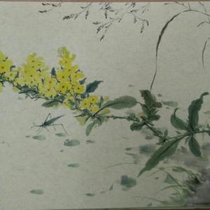 《夏日倾情》