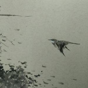 《素影》