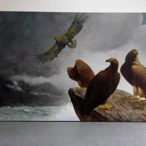 沧海雄鹰