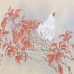 暖阳