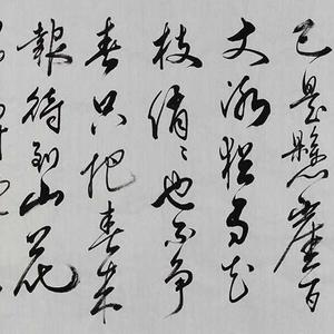 长白山市书协会员 王新泉书法