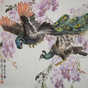 向士平  精品花鸟