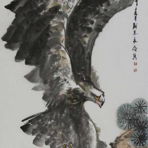 王长纯精品雄鹰