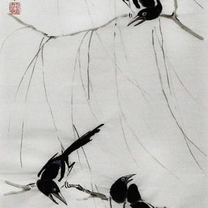 贺森现金专场