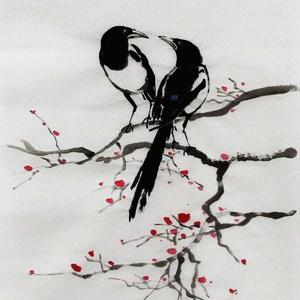 贺森现金专场
