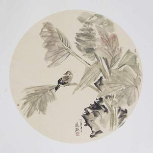 精品花鸟