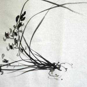 墨兰