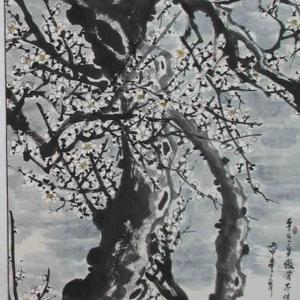白梅