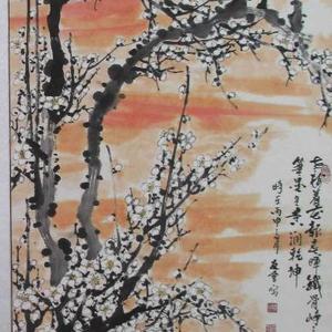 白梅