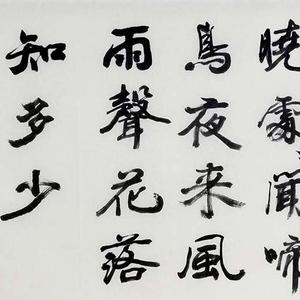 艺品作品书法1