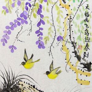 精品花鸟2
