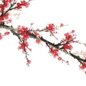 不尽生机
