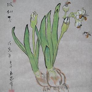 凌波仙子