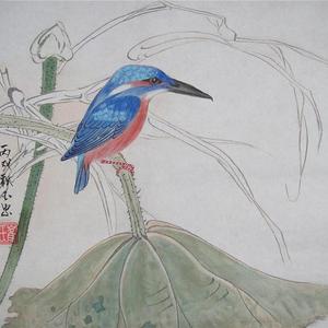 花鸟
