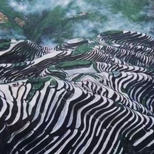 龙脊神韵