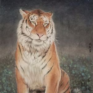 月夜初醒