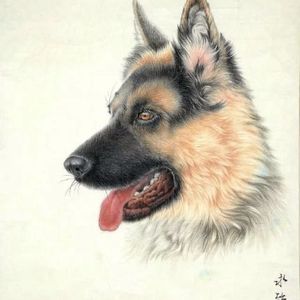 犬首