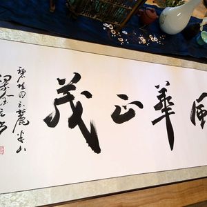风华正茂