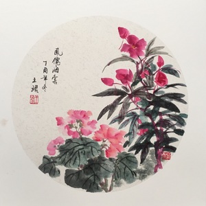 凤仙海棠