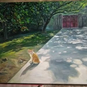 正午院子里的猫
