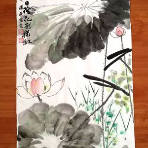 墨荷//映日荷花