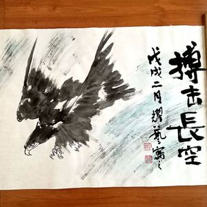 搏击长空图