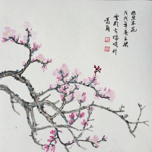 巴旦木花开