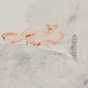《红荷》