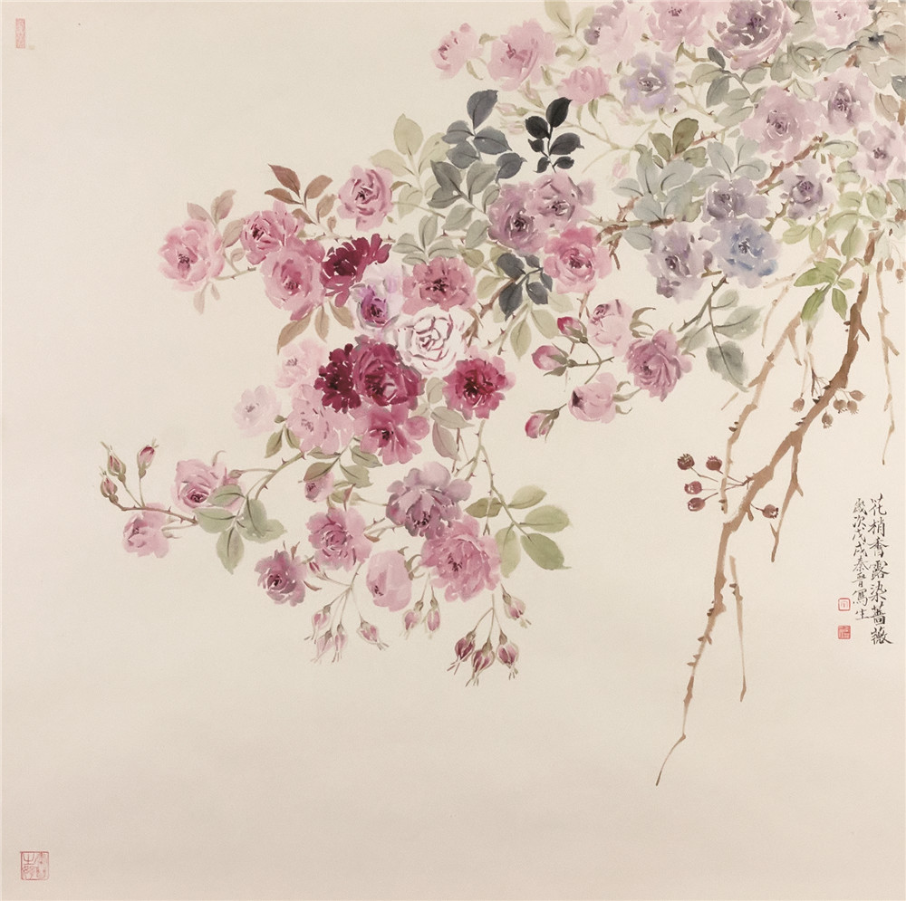 《花梢香露染蔷薇》