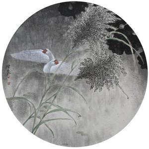 白天鹅