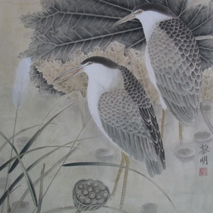 精品花鸟